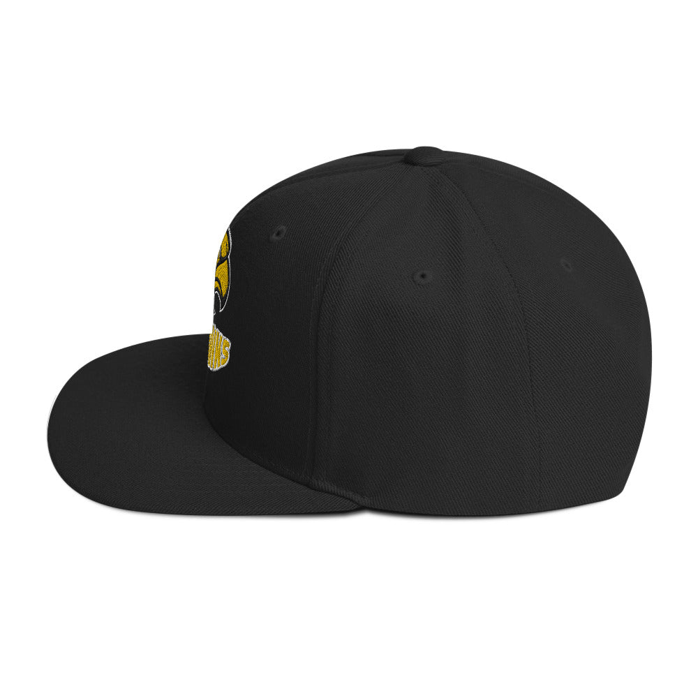 Skyhawks Snapback Hat