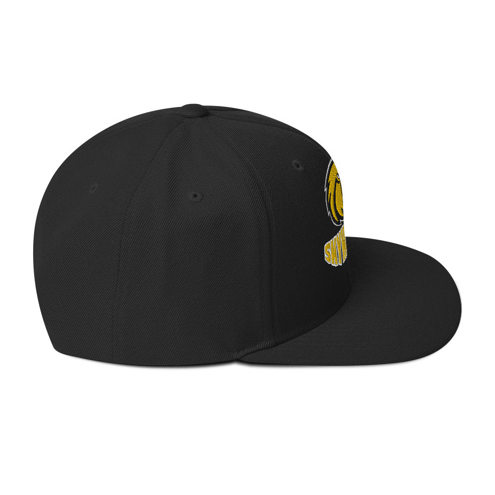 Skyhawks Snapback Hat