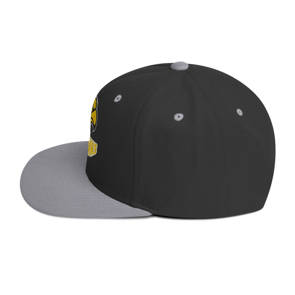 Skyhawks Snapback Hat