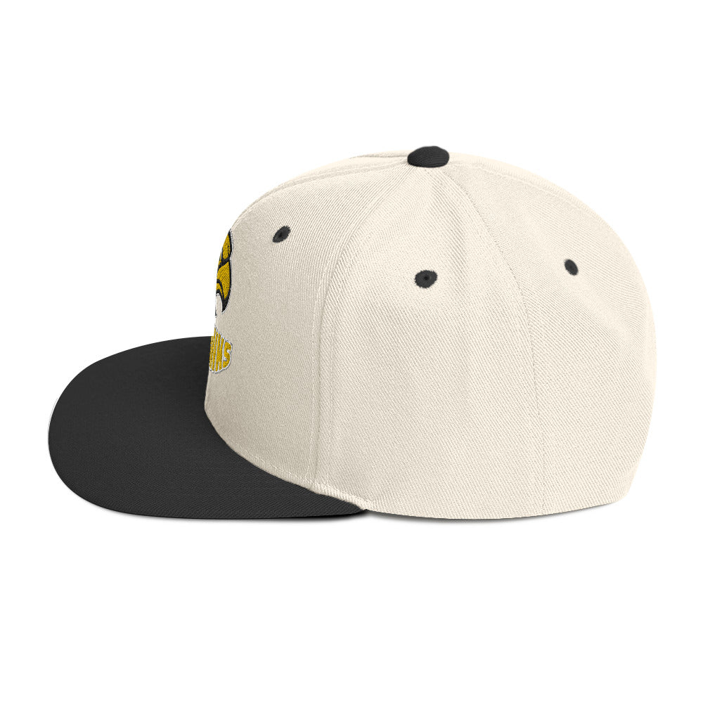 Skyhawks Snapback Hat