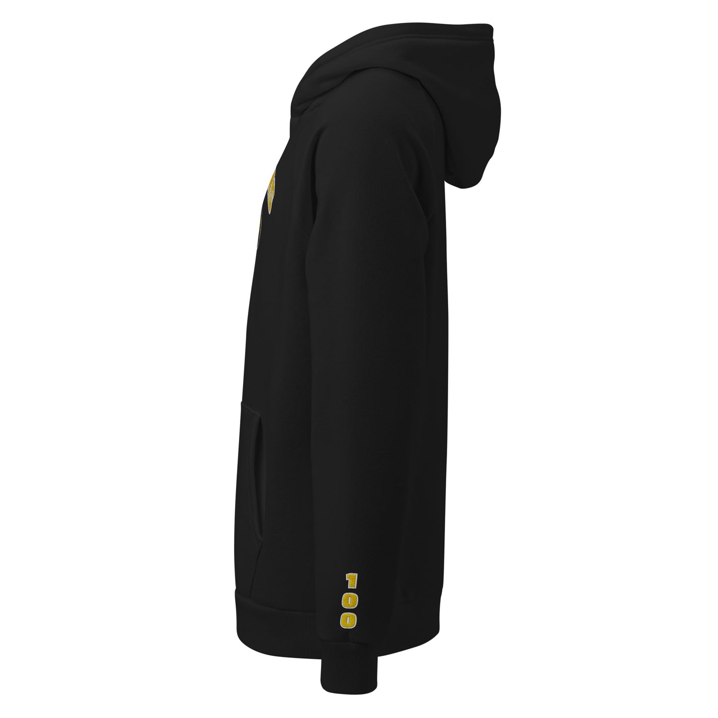 Skyhawks Under Armour® hoodie