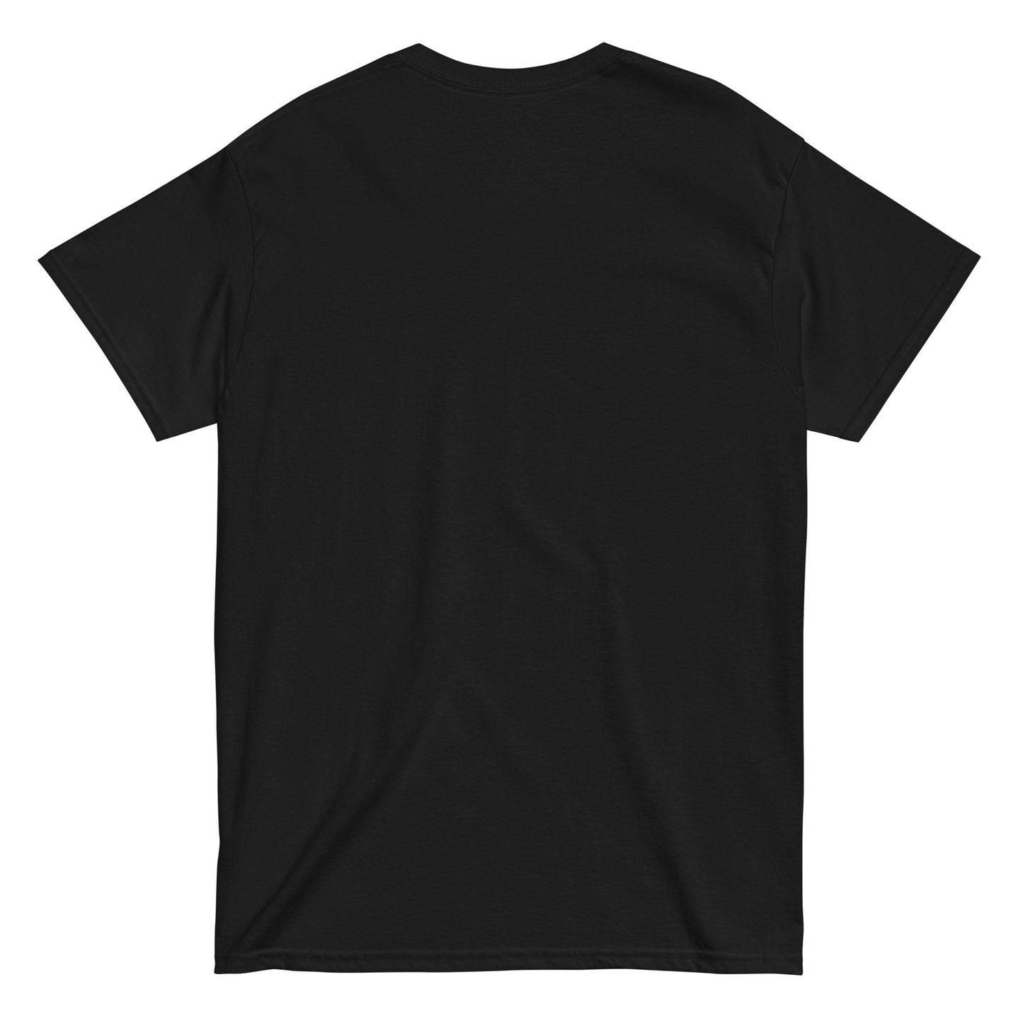Skyhawks Unisex classic tee